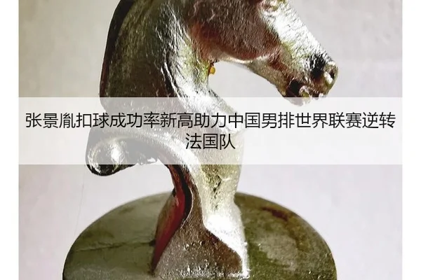 张景胤扣球成功率新高助力中国男排世界联赛逆转法国队